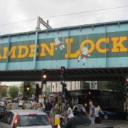 Les puces de Londres